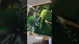 Bring nature indoors with this preserved moss artwork &mdash; zero care, pure calm 🌿 #mossartstudio