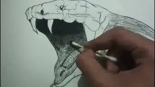 How to draw cobra 🐍