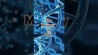 The Mystery of DNA, God's biometric code in every cell of our bodies, by Dr Richard Kent #dna #God