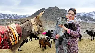Village Life In Iran: Amazing Bread Baking & Donkey Riding By A Girl