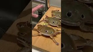Meet the Distinguished Spotted Crabs of the Sea! #bayhawk #fish #freshseafood #food #facts  #seaeats