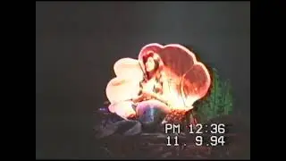 Disney World Home Movie - 1994