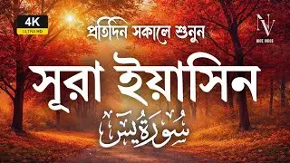মন হবে প্রশান্ত | প্রতিদিন সকালে শুনুন সূরা ইয়াসিন | Surah Yaseen | Alaa Aqel | Nice Voice