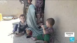 Poverty pushing Afghan families to sell young girls into forced marriages