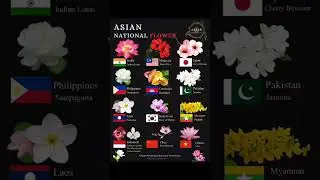 Asian countries national flower #nationalflower #flowers #gkenglishguide
