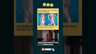 Просто оно стеснительное🤣#хочуврек #юмор #прикол #смехдослез #shortsvideo Спасибо за просмотр!❤️