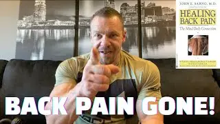 My Back Pain is GONE From Just Reading a Book | Healing Back Pain by John Sarno Book Review