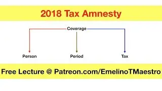 2018 Tax Amnesty Coverage Person
