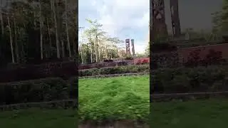 KELILING HUTAN DI PAPUA #shorts
