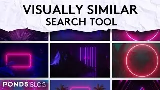 Pond5 Blog - Visually Similar Search Tool