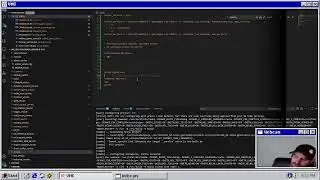 Ryzom Revamp - Troubleshooting Graphics and Dev Environment