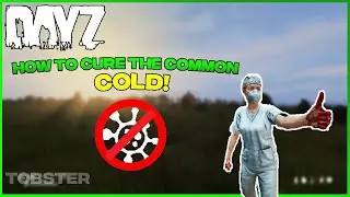 DayZ - How to Cure the Common Cold (DayZ Survival Guide)