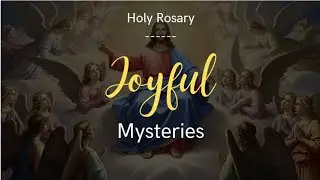 📿 Pray the Rosary  &bull; August 02, 2025 &bull; Joyful Mysteries