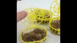 Keep Your Birds Happy! 🐦 Refillable Nesting Holders  Natural Fiber #birdbreederhack #petshopamerica