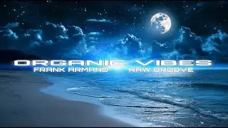 Organic Vibes - Frank Armand n Raw Groove
