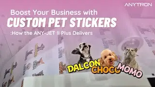 Crafting Custom Pet Sticker: ANY-JET II Plus