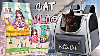 CAT VLOG: КУПИЛИ КОРМ ZILLII СУПЕР ПРЕМИУМ