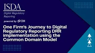 ISDA Webinar: One firm’s DRR implementation journey, from the perspective of JPM (October 2024)