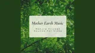 Ensemble of Relaxing Music