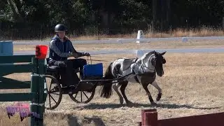 Clarissa Henry; EI CDE, August 2025