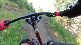 VTT 2 alpes red line 2
