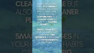 Green Cleaning 101 Eco Friendly Cleaning Solutions