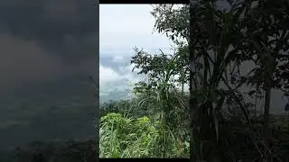 Scenic view from Pic d&rsquo;Agou Togo #shorts #short #scenic #nature #africa #togo #mountains