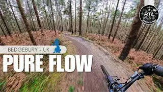 Through the Pines | Cinematic MTB at Bedgebury Forest