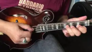 Prucha F5 Premium - Varnish | p.1