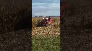Tafe 45wd Sip Tornado 80