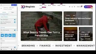 BlogData Blog WordPress Theme Header Rightbar