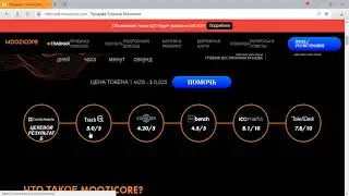 Обзор проекта Moozicore