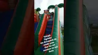BIG-PARK LOCA&Ccedil;&Atilde;O DE BRINQUEDOS ZAP: 993021907