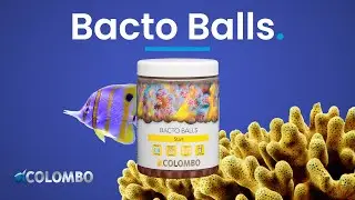 Colombo Marine Bacto Balls (DE)