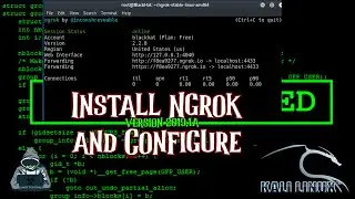Download Ngrok and Configure it Easily | Kali Linux | Port forward without your real IP Address