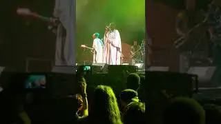 BRF 2019(5)