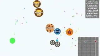 MGR vs HERO - Agar.io Gameplay