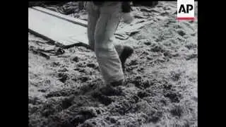 GANDER AIR CRASH RESCUE
