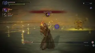 Elden Ring Nightreign Libra Co-op clutch!