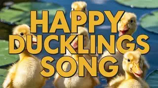 Quack Quack Duck Song for Children | Funny English Nursery Rhyme for Toddlers and Preschool Babies