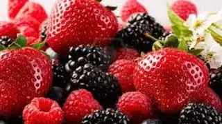 Mixed Berry Cider 4% : BrewBear Beer Festival Sponsored by Ozzybrew (4/4) :Thirsty Thursday # 274