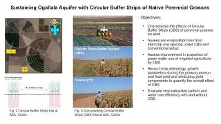 Sustaining Ogallala Aquifer with Circular Buffer Strips of Perennial Grasses
