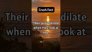 Crush Fact ... #facts #crush #crushfacts #dailyenglishstories #englishstoriesandquotes