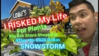 Is it Worth Risking My Life for Plants? Big Box Store Plant Shopping after Dallas Snowstorm 2026