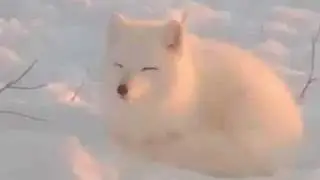Global Warming Awareness