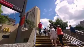 Karingal Drive Estate, Pimpama by Choice Homes - Chinese