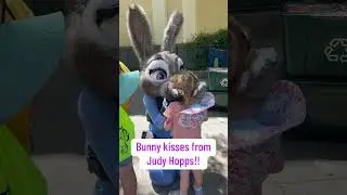 Disney characters are the best!! Especially Judy Hopps!!