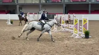 Untouchable Louie DAFM 5 yo Final