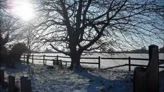 Gibbons 'A Lament' Op.20