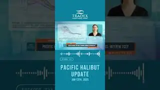 3MMI - PACIFIC HALIBUT, 2025 OUTLOOK, SPAWNING BIOMASS INCREASES, INTERIM TCEY DECISIONS #halibut